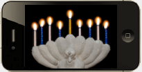 iMenurkeyPhoneWebsite